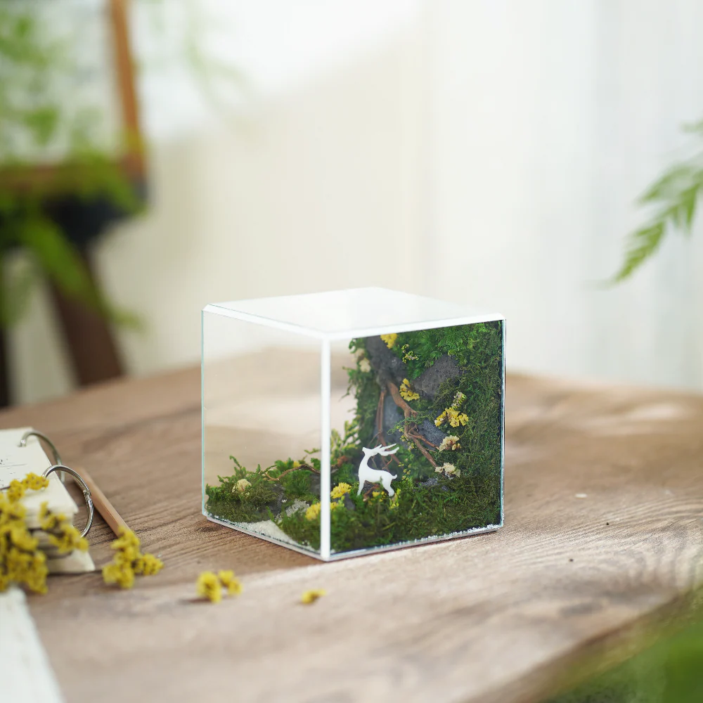 Little Forest Box