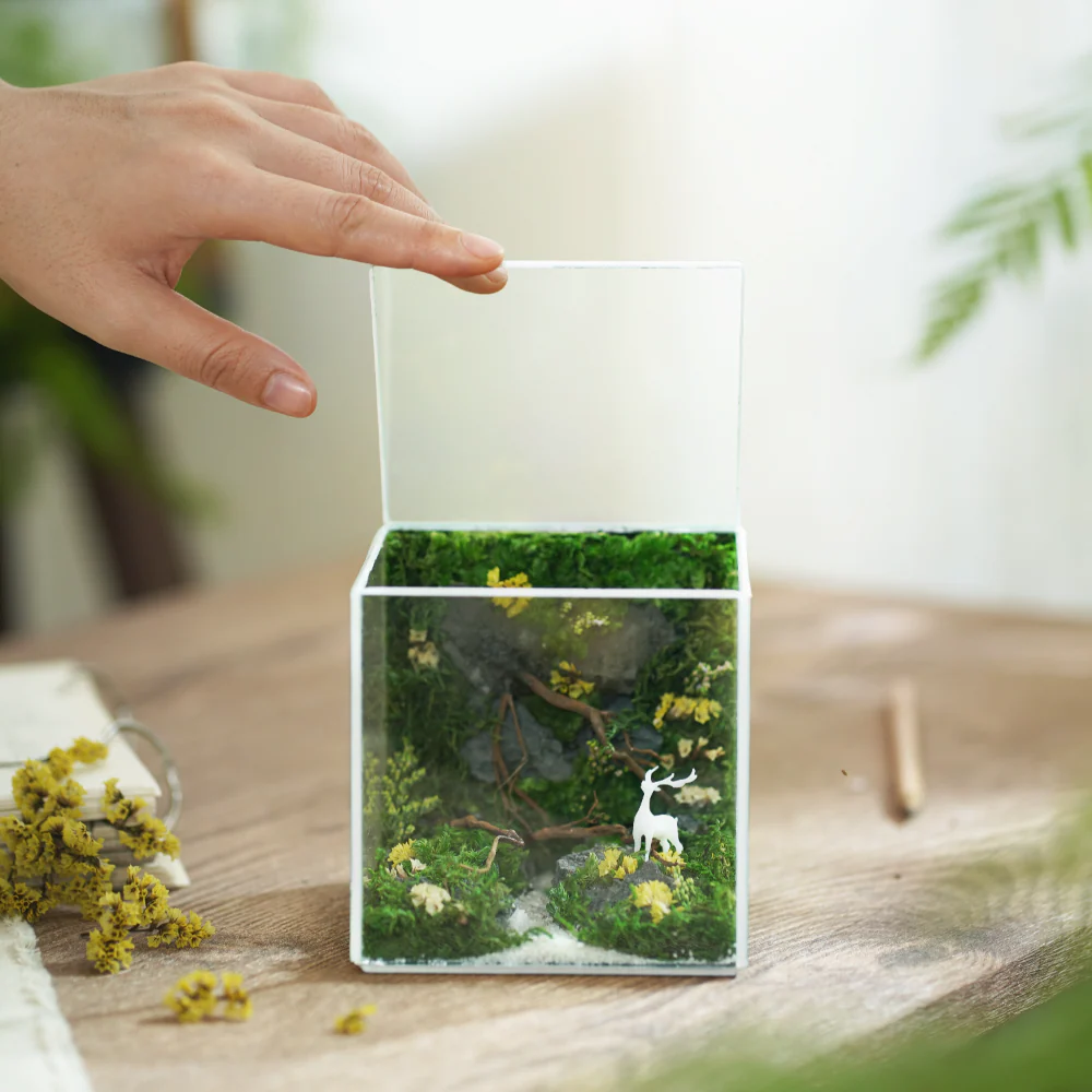 Little Forest Box