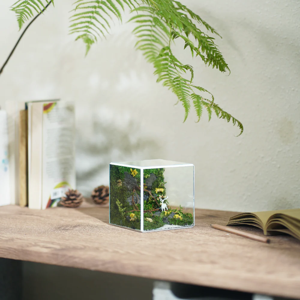 Little Forest Box