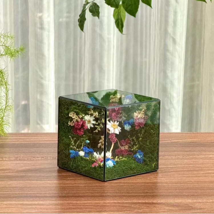 Little Forest Box
