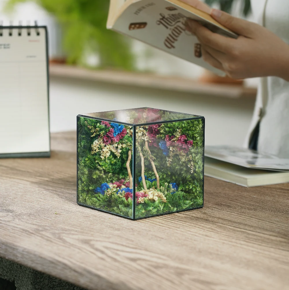 Little Forest Box