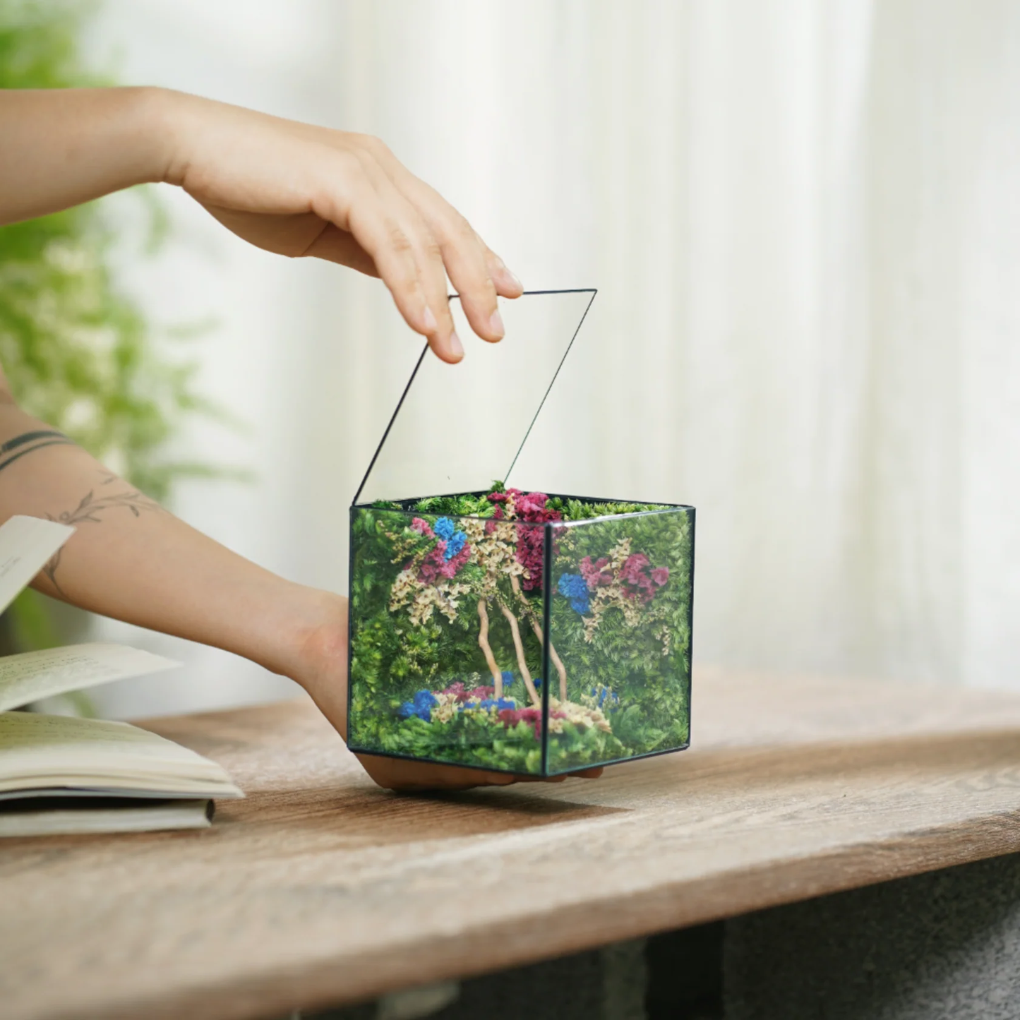 Little Forest Box