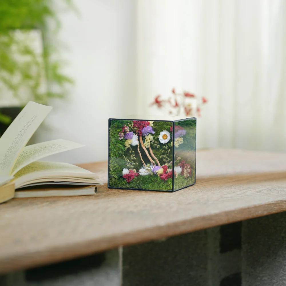 Little Forest Box