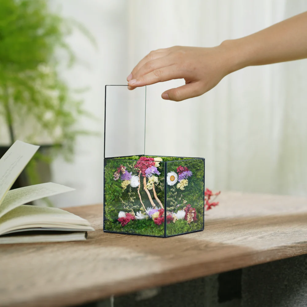 Little Forest Box