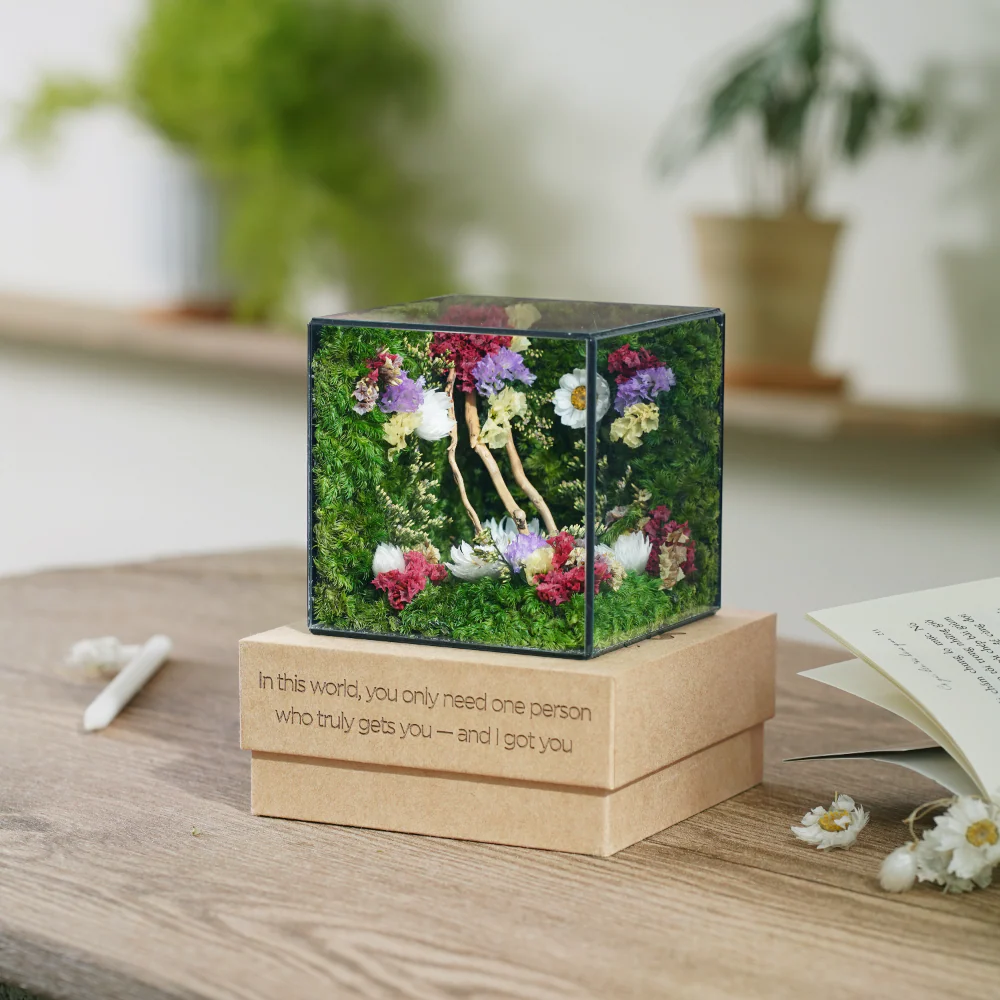 Little Forest Box