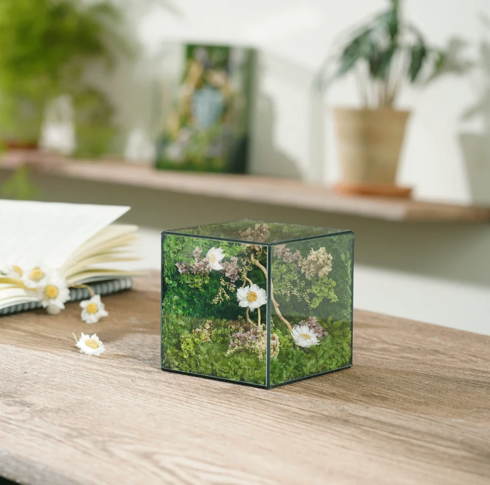 Little Forest Box