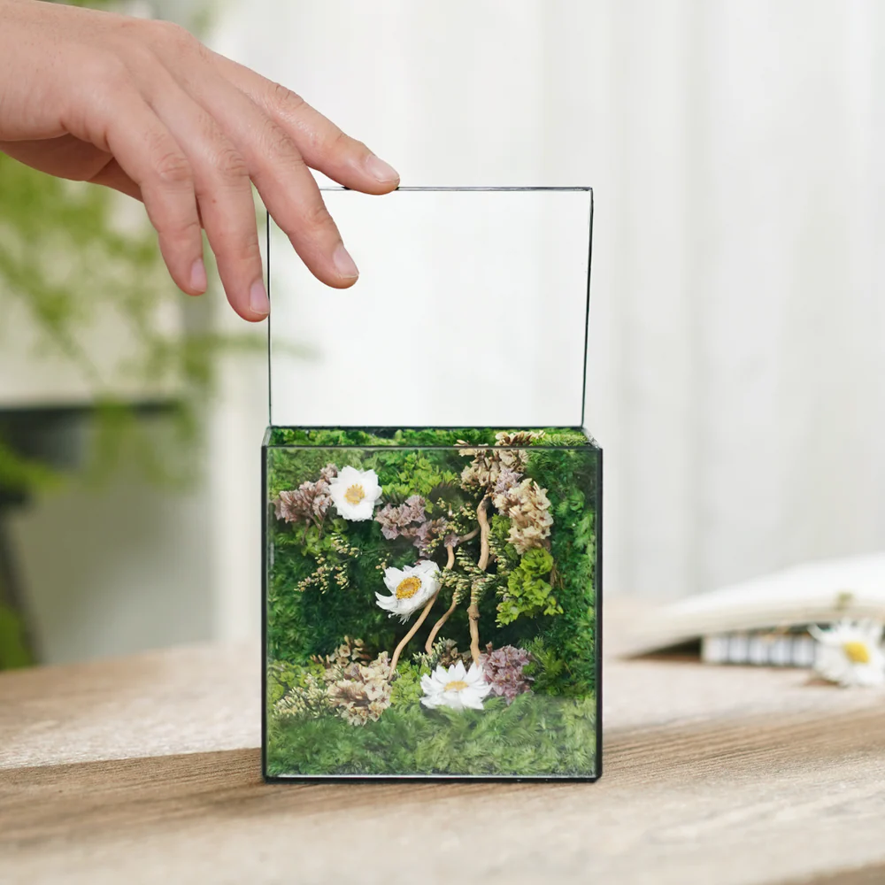 Little Forest Box