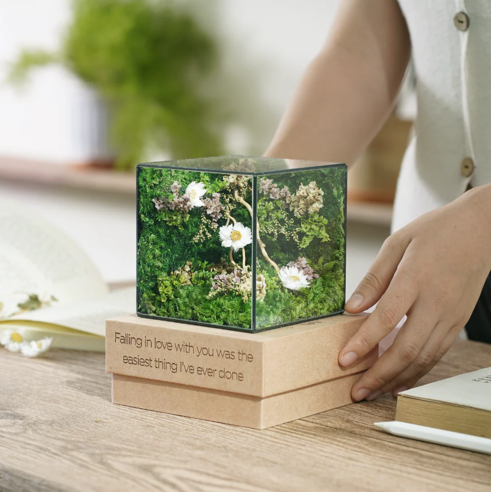 Little Forest Box