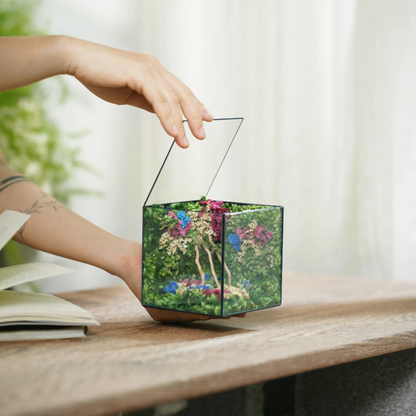 Little Forest Box