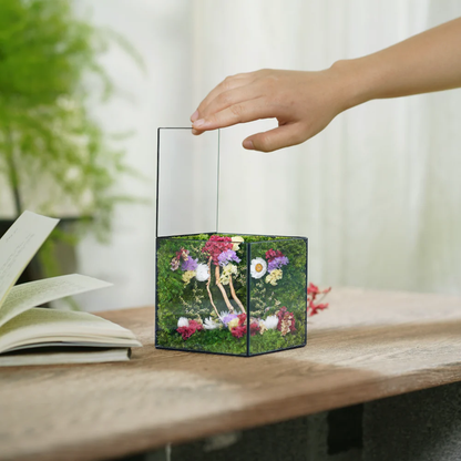 Little Forest Box