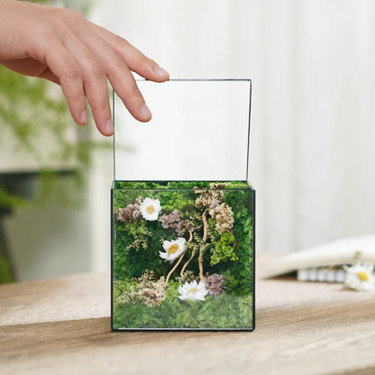 Little Forest Box